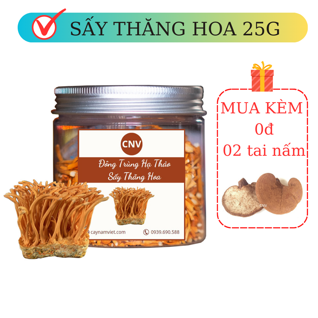 Đông trùng hạ thảo sấy thăng hoa loại vụn 25g - Cây Nấm Việt