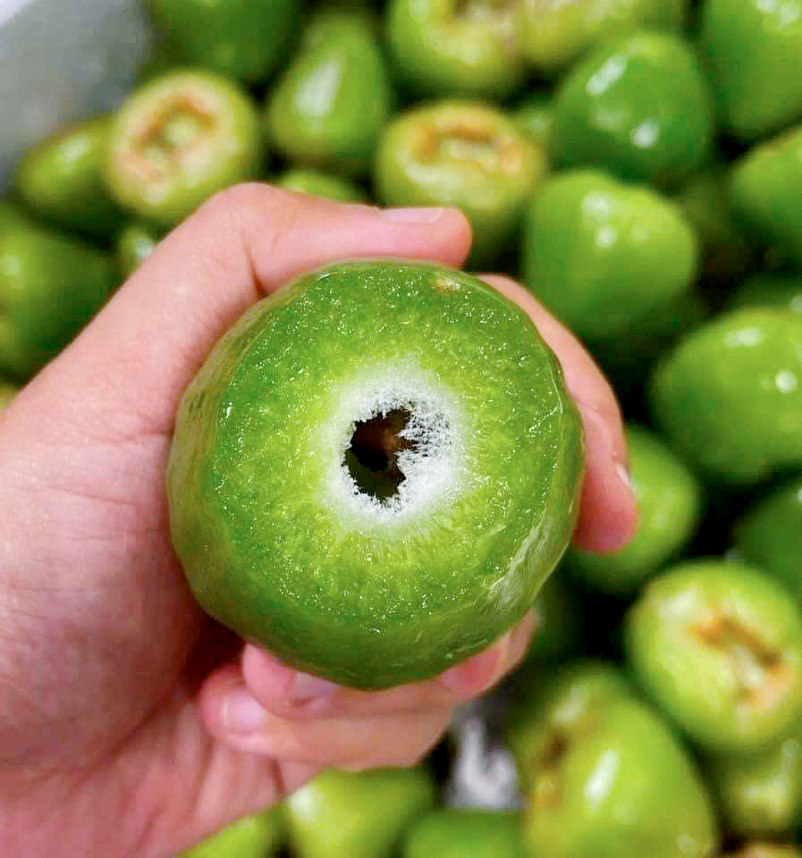 Cây giống mận xanh đường giống ngọt