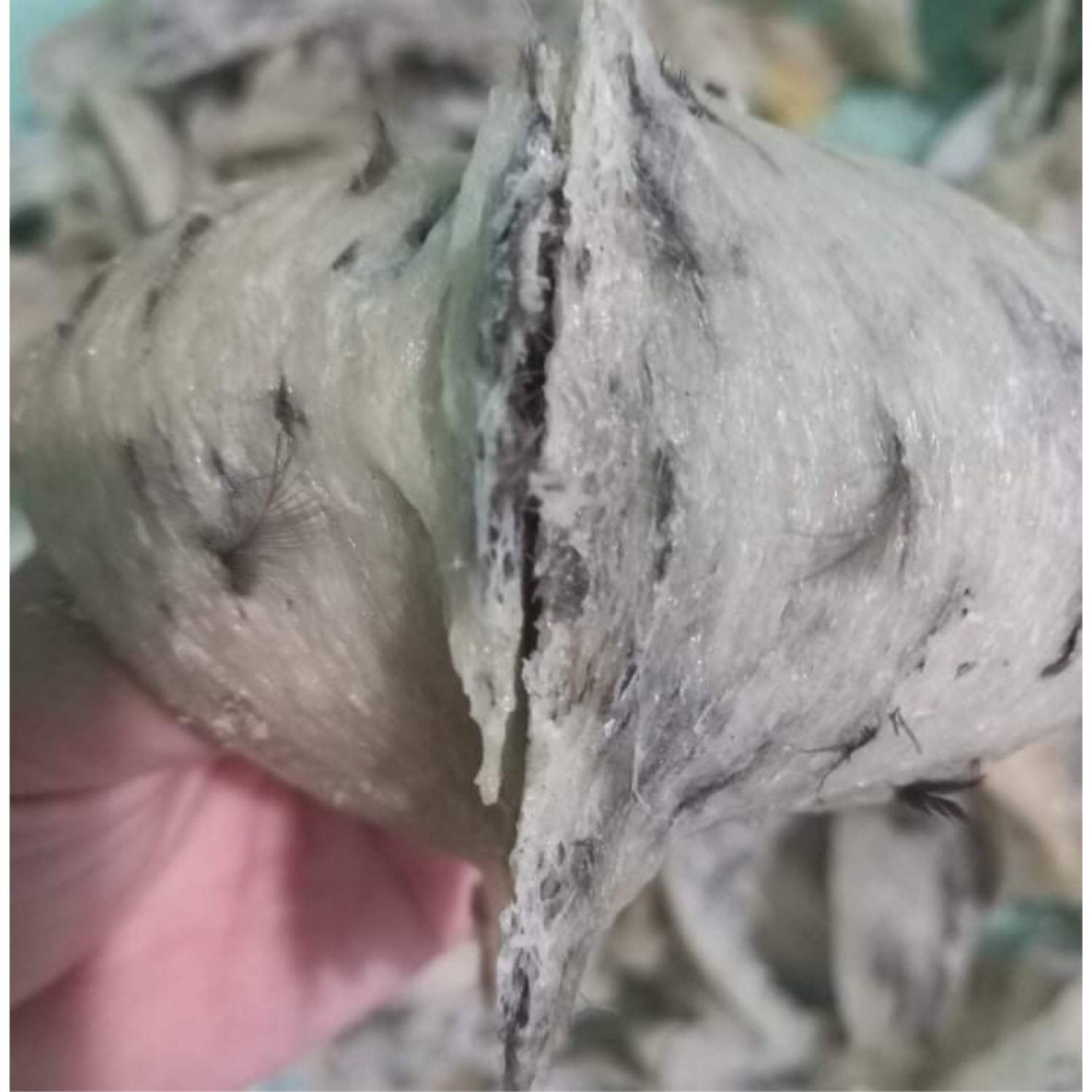 Yến nguyên tổ còn lông lᴏại 1, 100gr -10,11 tổ, yến nhà nuôi