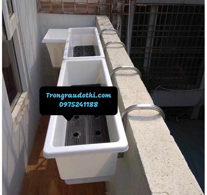 Móc treo chậu trồng cây dành cho tường 10 - chưa bao gồm chậu