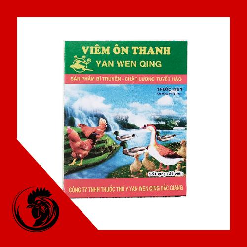Viêm ôn thanh - 10 Vỉ 24 viên