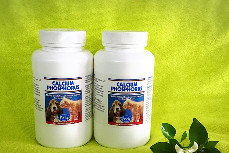 [HCM]Combo 2  viên canxi Calcium Phophorus nhập khẩu Mỹ dùng cho chó mèo có thêm Vitamin D3 giúp cơ thể dễ dàng chuyển hóa và hấp thụ