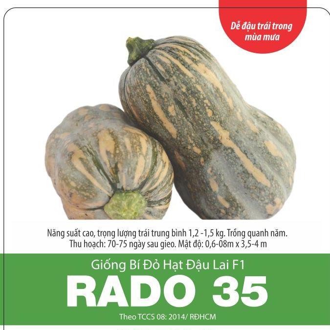 Hạt Giống Bí Đỏ Hạt Đậu Lai F1 Năng Suất Cao (1gr)