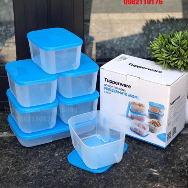 Tupperware - Bộ 6 hộp trữ đông Freezermate 650ml