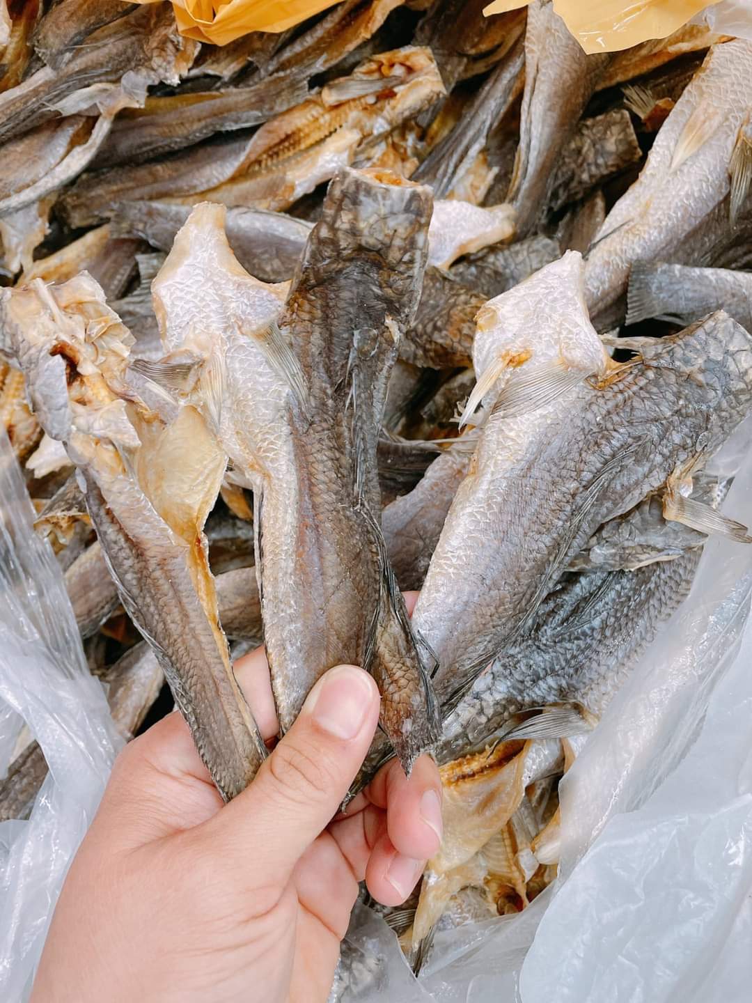 Khô cá lóc đồng cà mau - hộp 500gram, khô cà mau, đặc sản khô cà mau, khô ngon cà mau