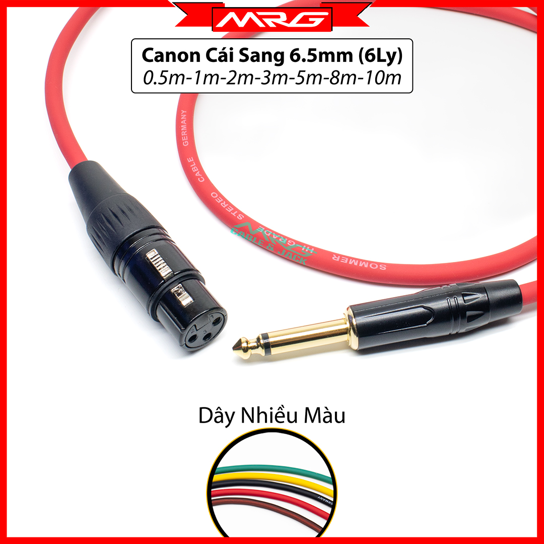 Dây 6 Ly Sang Canon Cái, dài 0.5met-1met-2met-3met-5met-8met-10met | dây 6ly sang canon cái, dây jack 6 ly sang canon cái, dây jack 6.5 ra canon cái.