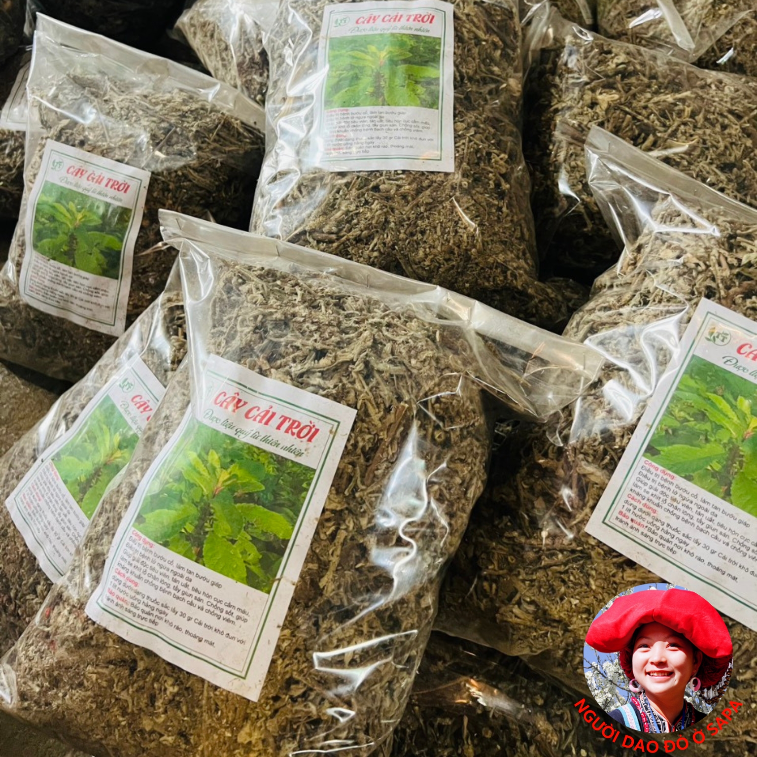 Cây cải trời khô Tây Bắc loại 1 được thu hái, phơi khô từ rau cải trời tươi, trồng hữu cơ tại rừng
