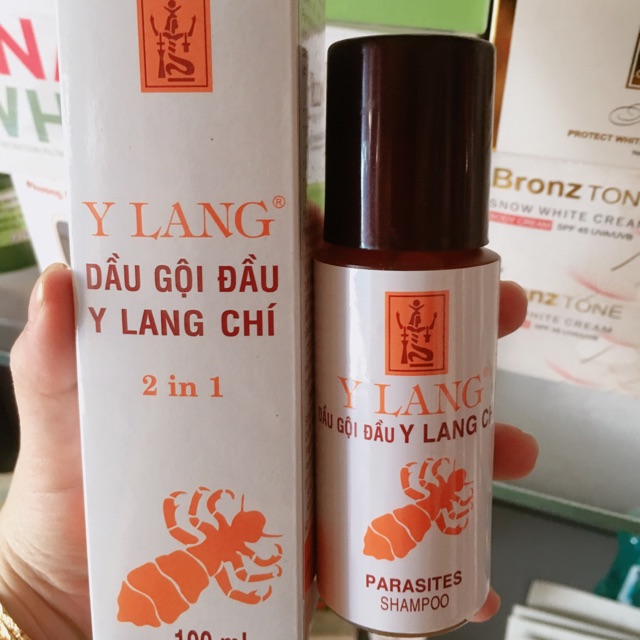 Dầu gội đầu hết chấy y lang