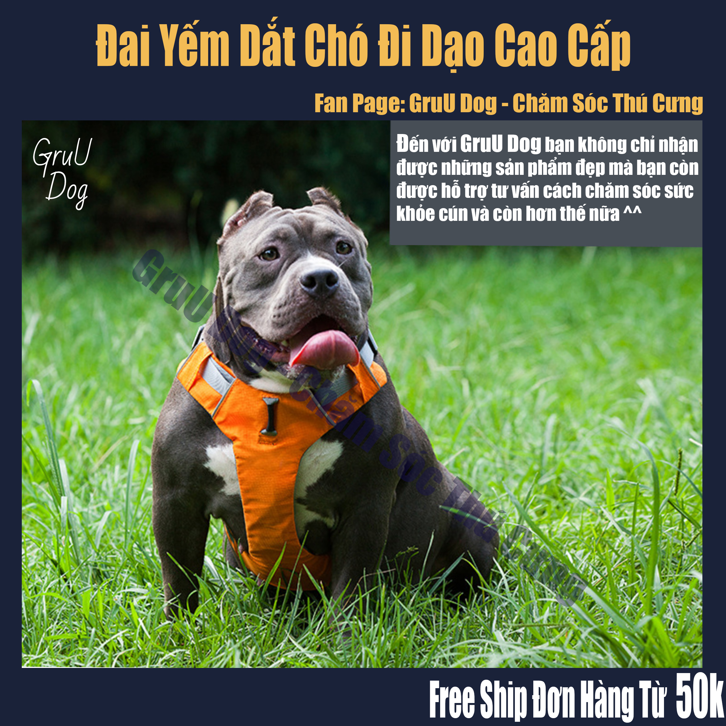 Đai Yếm dắt chó đi dạo GruU Dog cao cấp