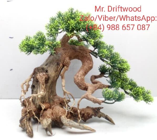 Lũa bonsai cho hồ cá thủy sinh 60 cm