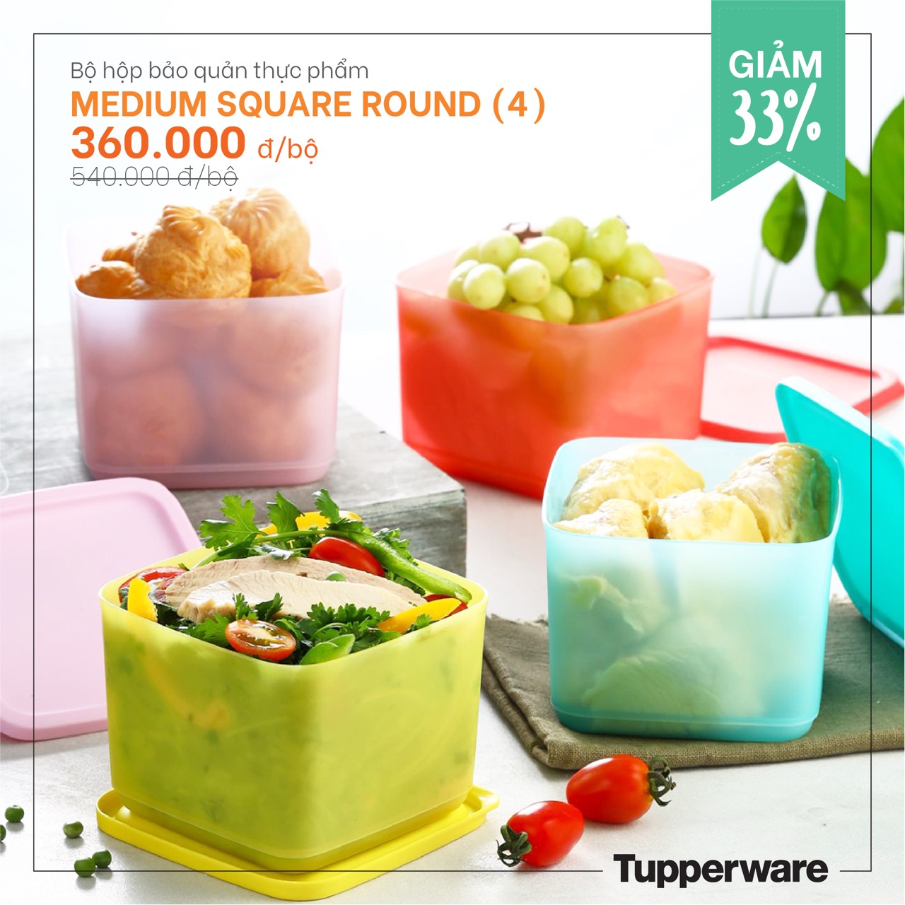 Tupperware-Bộ Hộp Bảo Quản Thực Phẩm Medium Square Round 4 Hộp
