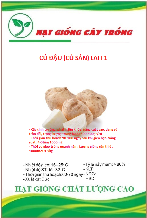 Hạt giống củ đậu lai f1 ct163 - gói 30 hạt