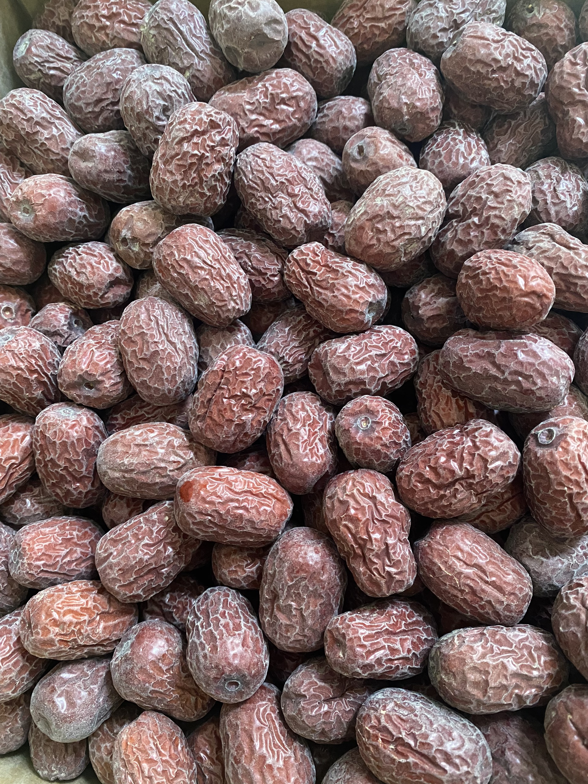 Táo đỏ - táo bụi nhược khương