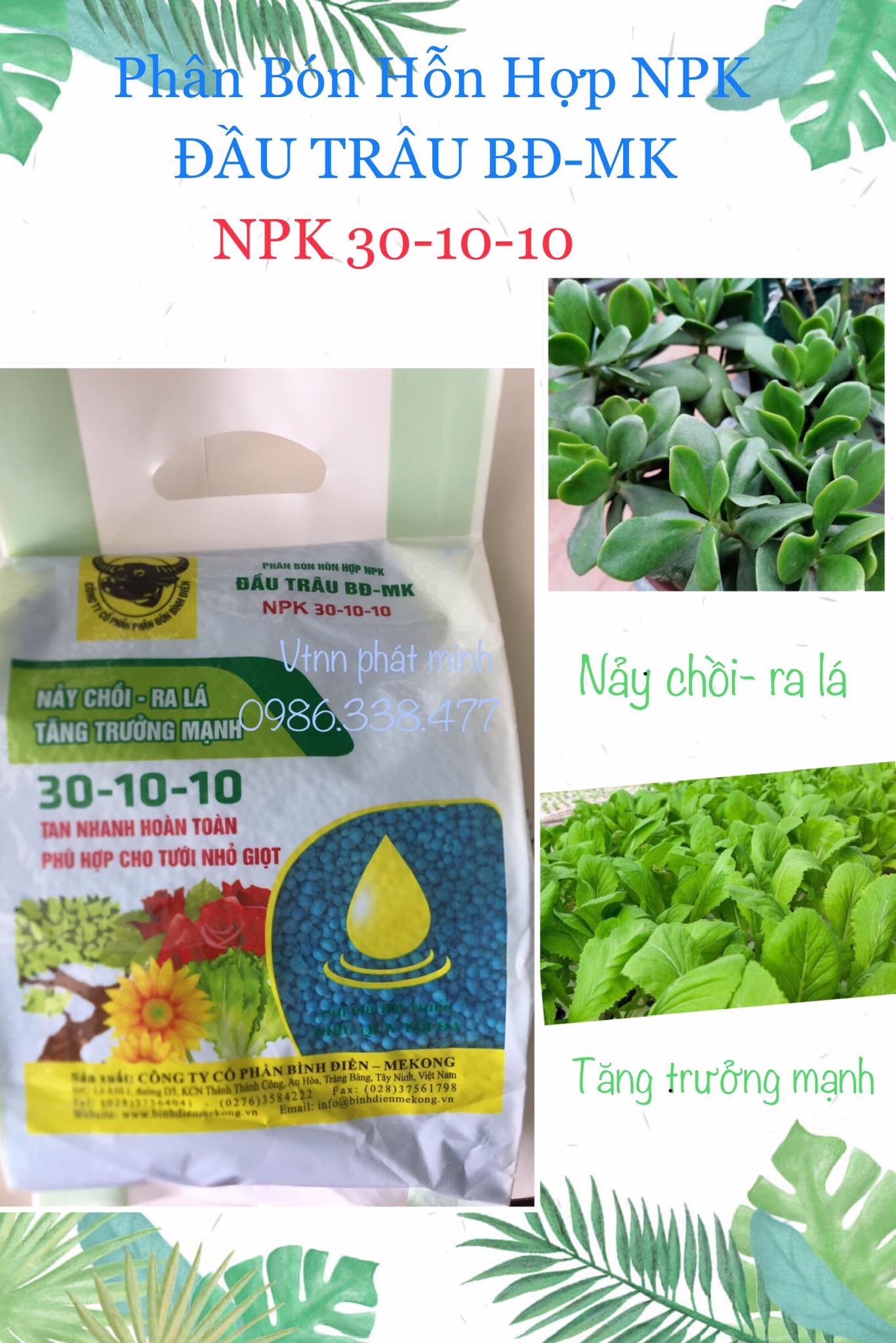 Phân bón hỗn hợp npk 30-10-10 nảy chồi, ra lá, tăng trưởng mạnh