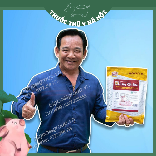 Tăng Tốc Heo Hàng Chuẩn Công Ty, Tăng Trọng Nhanh, Rút Ngắn Thời Gian Chăn Nuôi, Tiết Kiệm Chi Phí