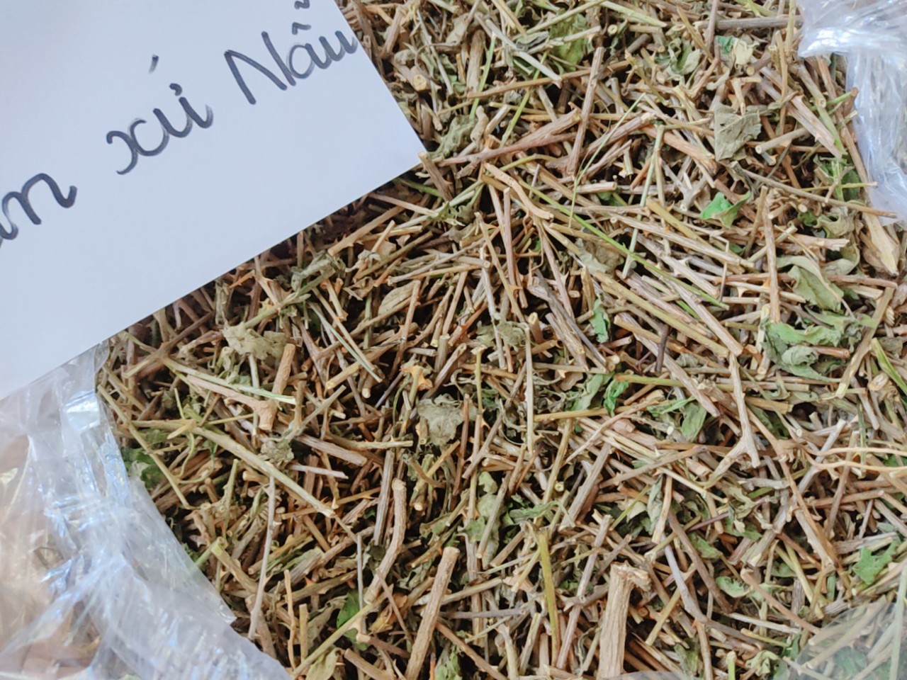 300gr Cà gai leo Rừng đã được sao khô - có khả năng trị hiệu quả viêm gan, hỗ trợ điều trị xơ gan, giúp giải độc gan,thanh nhiệt cơ thể, trị mụn, mụn nhọt vàng da, nóng trong người