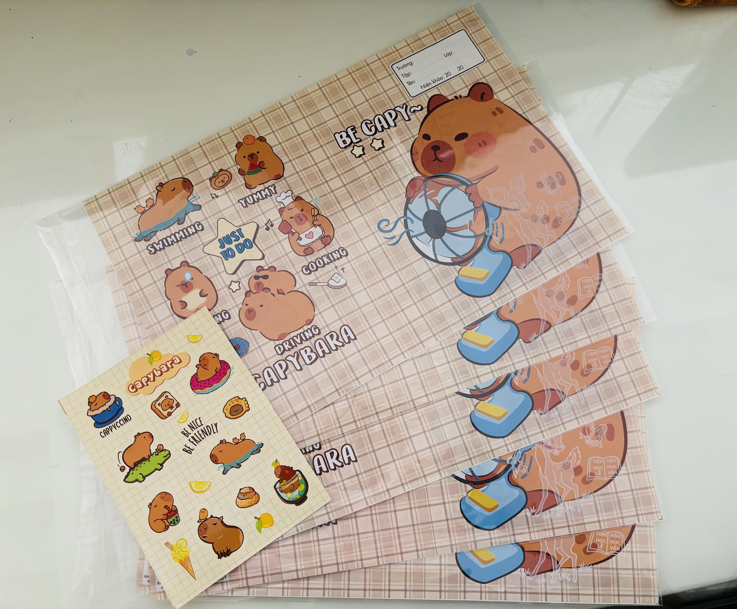 Bao tập kèm sticker + bao kiếng có nai ( 15.5x20.5cm )