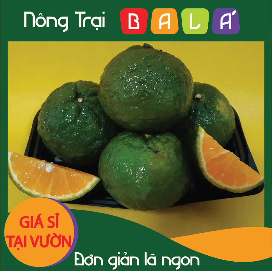 Hcm - cam sành nguyên trái -