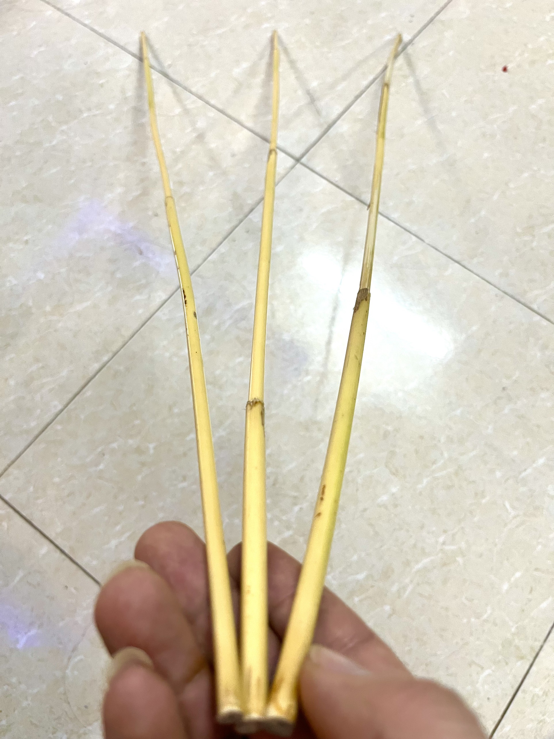Combo 3 cây mây dẻo dai, dài 80cm đường kính trên 7mm - dùng để trang trí
