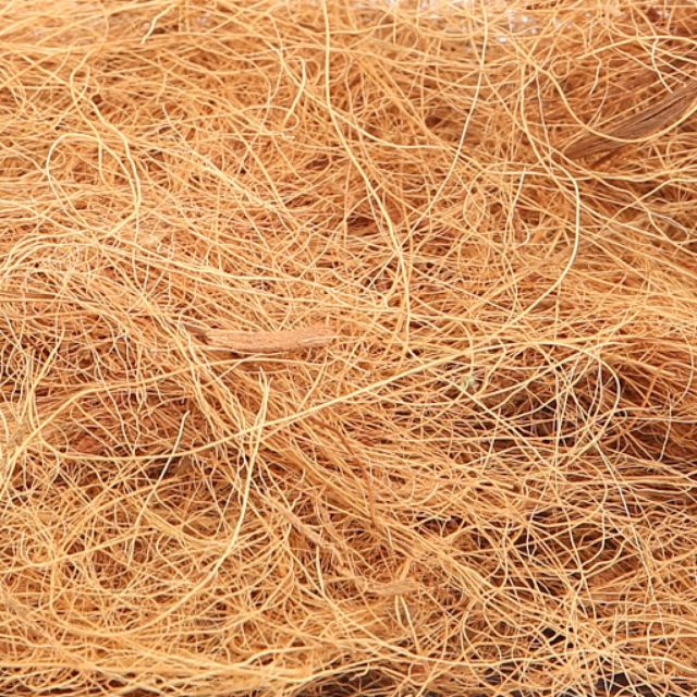 Giá thể sơ dừa rối lót chậu trồng phong Lan đã xử lý_Giá thể xơ dừa xé làm tổ chim