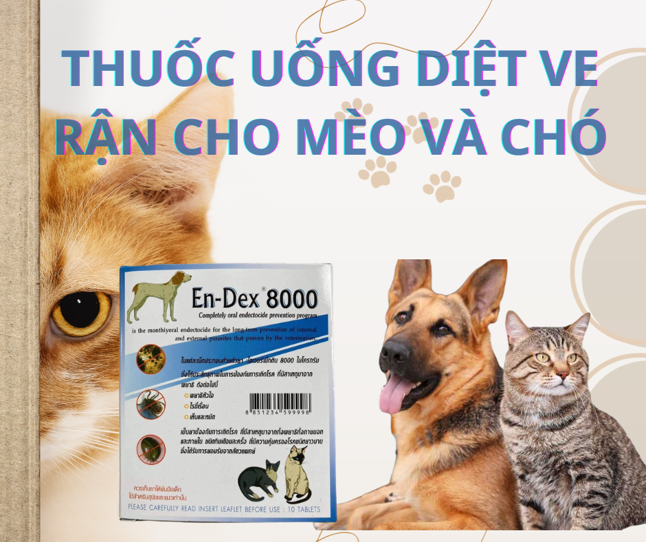 Tẩy ve ghẻ rận giun dành cho chó và mèo