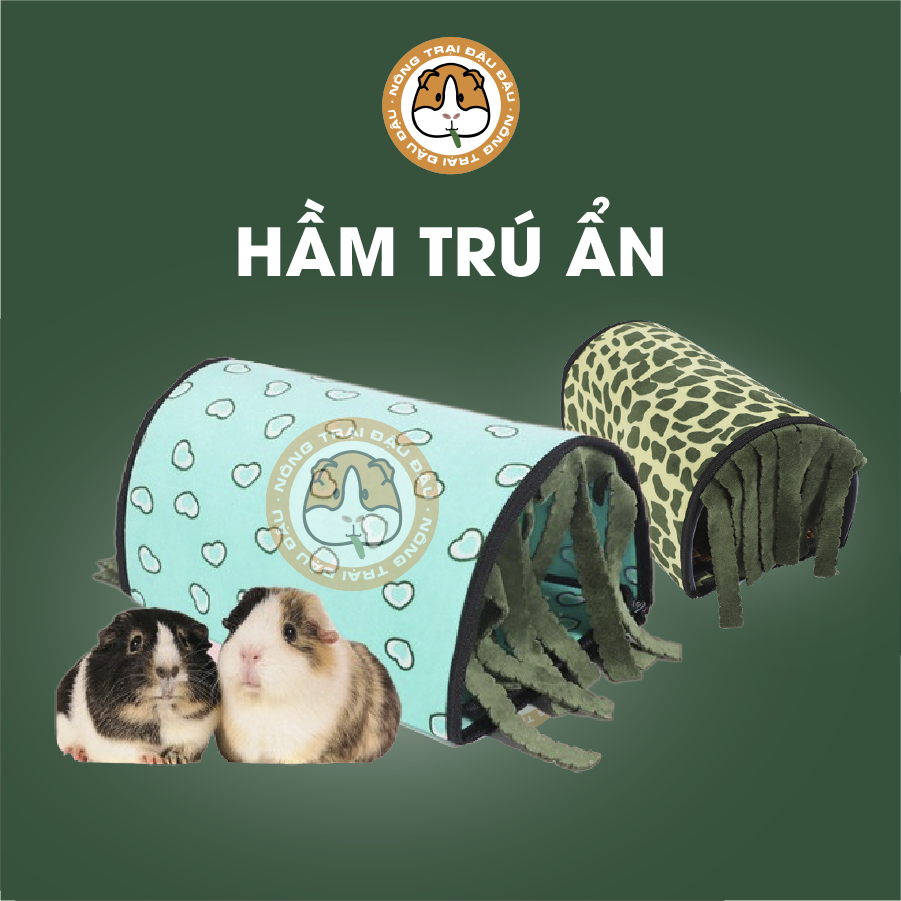 Hầm trú ẩn cho bọ ú chuột lang có rèm che