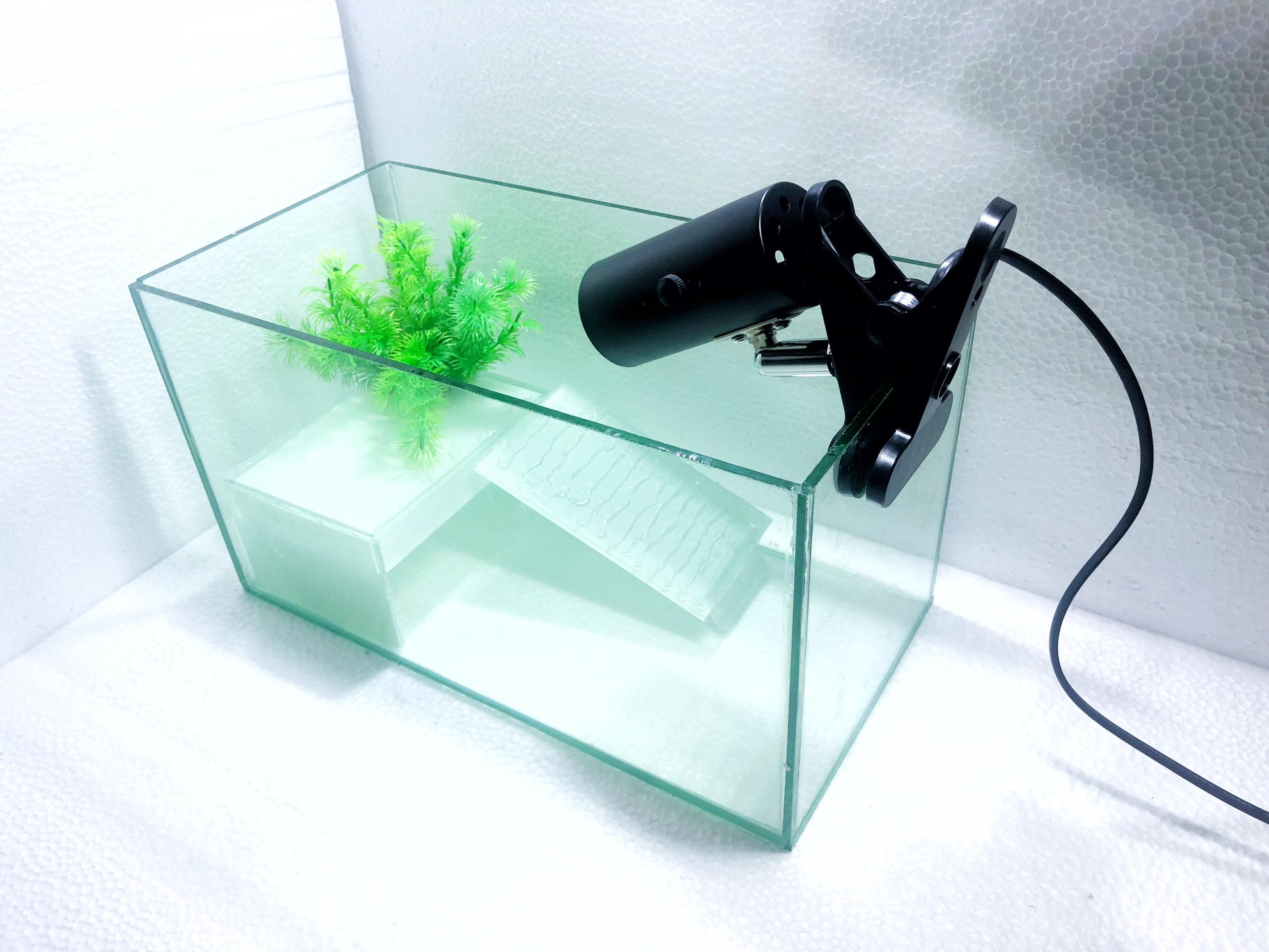 Bể Nuôi Rùa cảnh 35x18x20cm và Bộ kẹp đèn uva uvb 3.0 sưởi ấm cho rùa (TẶNG MÁNG LEO và túi thức ăn , không bao gồm cây)