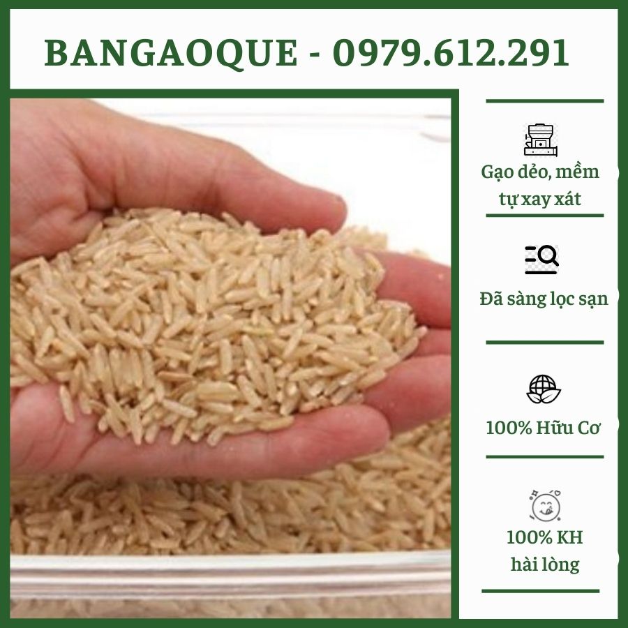 1Kg Gạo Xát Dối - Gạo Nguyên Cám - Gạo Lứt Hữu Cơ