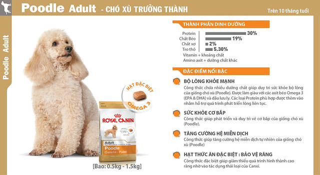  Thông tin Royal Canin Poodle Adult - Thức ăn hạt cho chó lớn Poodle giá rẻ