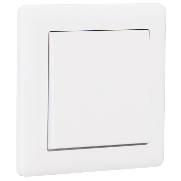 Công tắc đơn 2 chiều br010901
