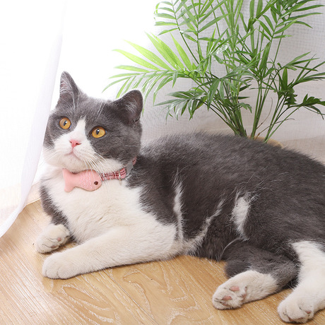 Vòng cổ cho chó mèo siêu cute, vòng cổ nơ, vòng cổ cà vạt