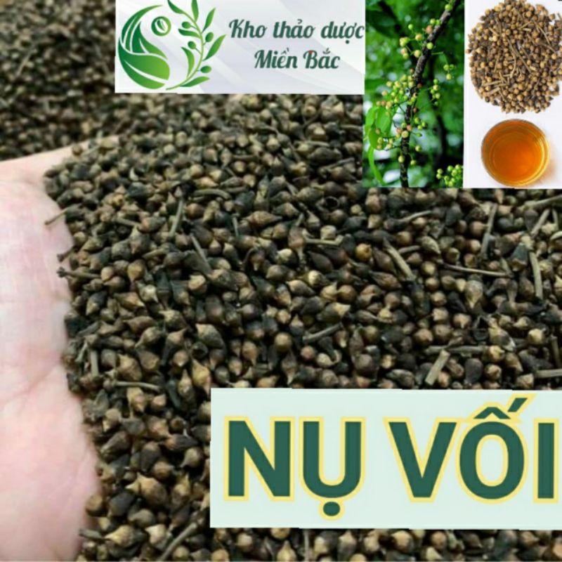 Nụ vối - 500g/ 1kg - hàng loại 1, mới, khô, sạch, thơm