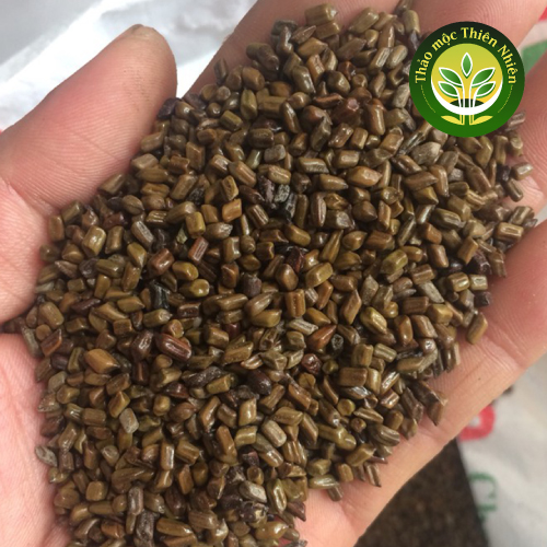 Hạt Muồng - Thảo Quyết Minh loại 1, giúp làm sáng mắt, thanh nhiệt, ổn định huyết áp, hỗ trợ chứng khó ngủ, mất ngủ, tim hồi hộp [1Kg] l Kho thảo mộc thiên nhiên