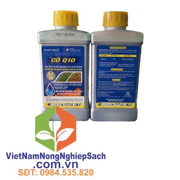 Cỏ q10 – thuốc trừ cỏ newfosinate 150sl diệt trừ cỏ mần trầu, rau muống và các loại cỏ khó trị khác