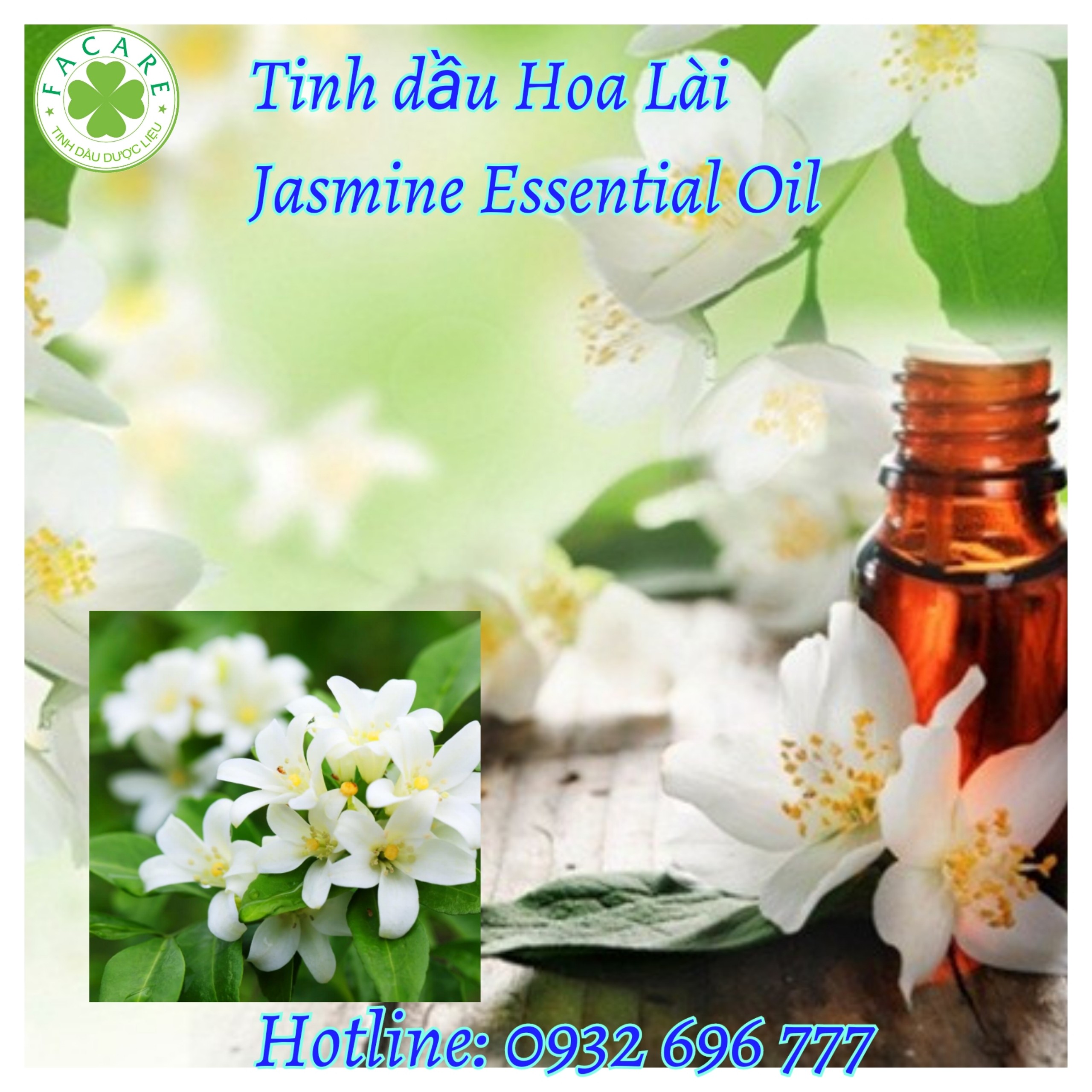 Tinh dầu Hoa Lài Jasmine essential oil giúp thơm phòng, giảm stress hiệu quả - 10ml