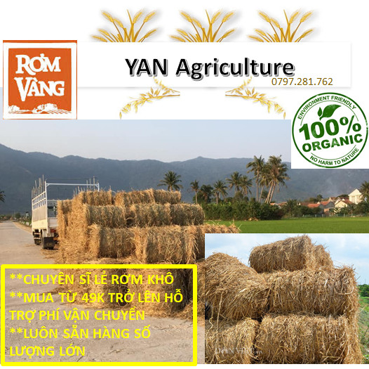 3 KG rơm khô/ba kí rơm khô/rơm khô/rơm rạ khô/rơm cuộn/rơm sấy khô/rơm khô trang trí/rơm khô trồng cây/rơm trồng cây/rơm ủ gốc cây/rơm lót quà/rơm khô nướng cá/rơm làm vườn/rơm khô trồng nấm