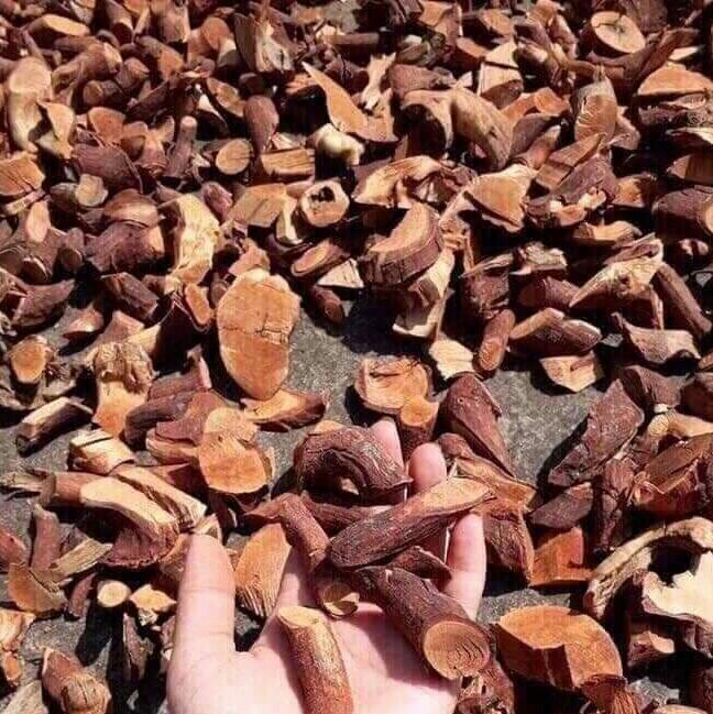 1kg rễ cây mú từn