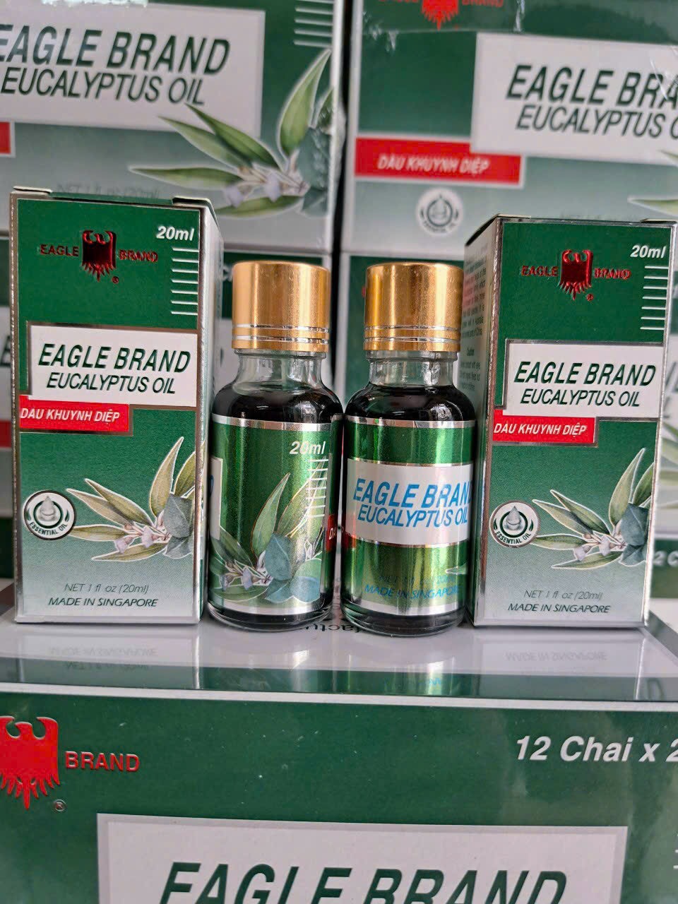 1lố 12 chai dầu khuynh diệp singapor 20ml