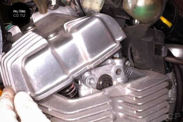 Ron Cao Su Đầu xe SH Ý Dylan - Ron Cao Su Đầu Bò Xe Máy Và Tay Ga - PHỤ TÙNG CÔ TƯ