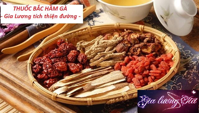 Set 5 gói gia vị thuốc bắc hầm gà giúp bồi bổ cơ thể, tăng sức đề kháng