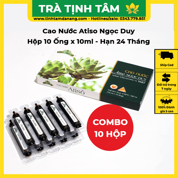 Cao nước atiso Ngọc Duy Đà Lạt cao cấp hộp 10 ống x 10 ml giúp thanh nhiệt giải khát, giải độc gan
