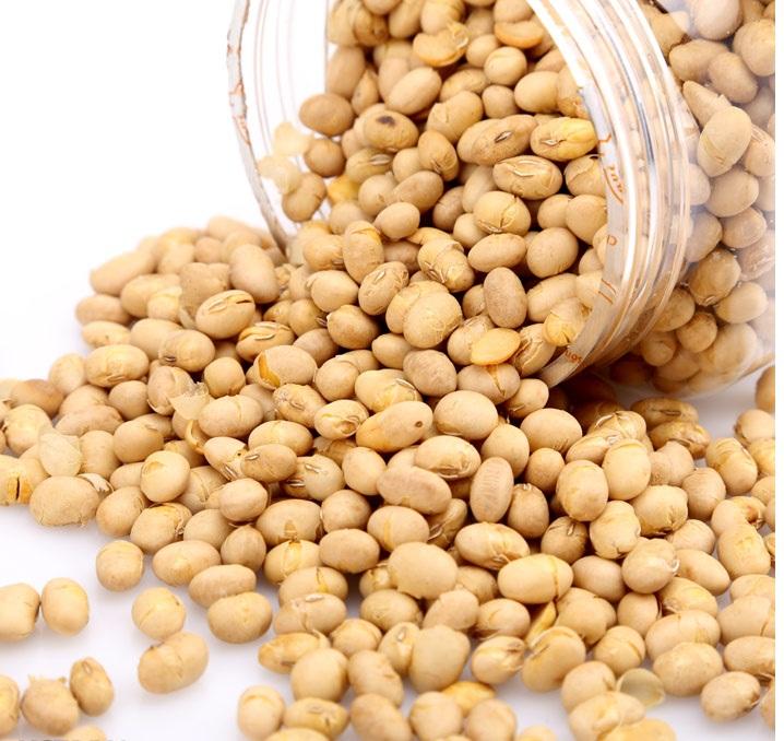 500G Đậu Nành Sấy Giòn