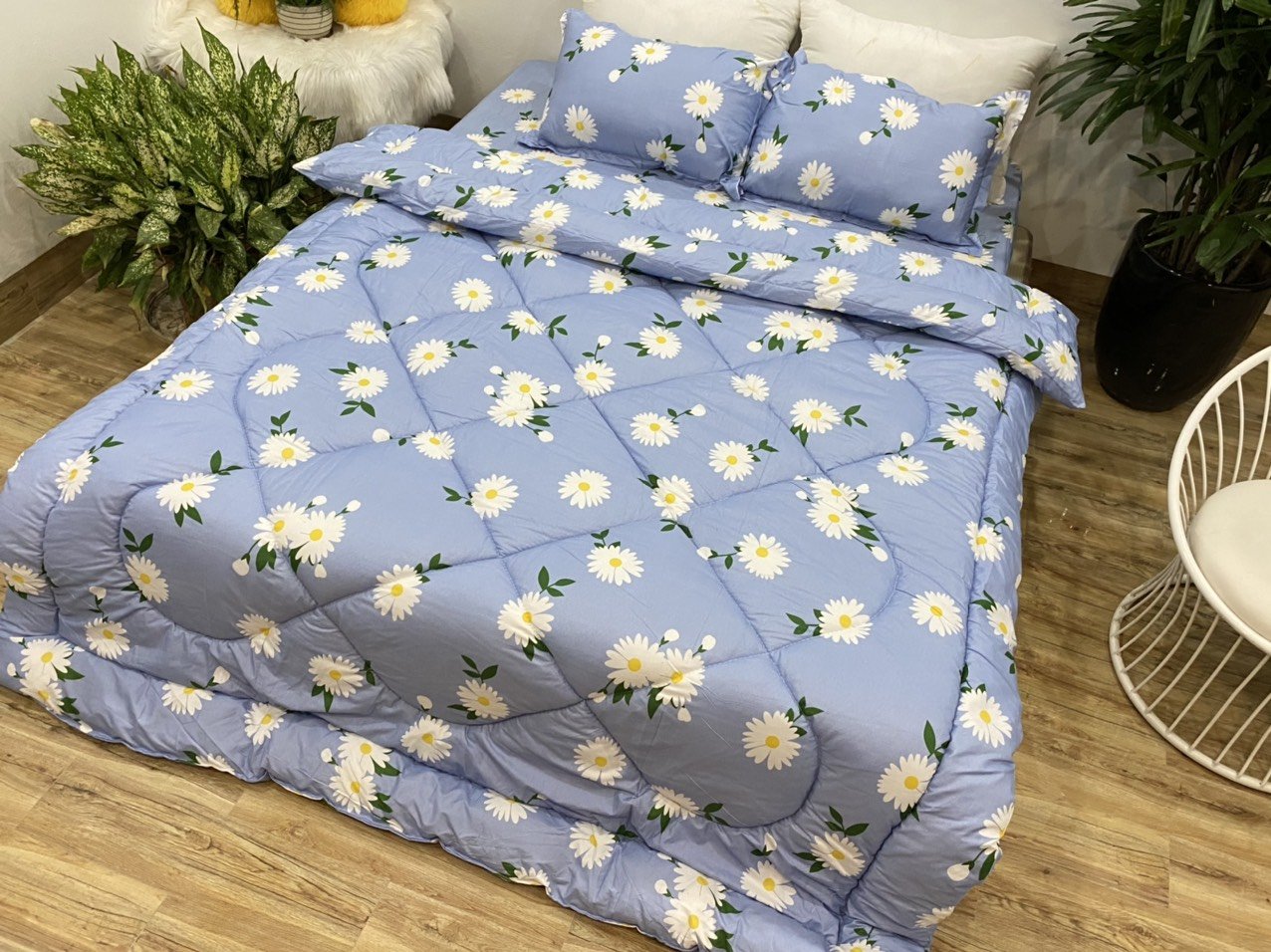 Bộ chăn phao ga gối 4 món,1 chăn 1 ga 2 vỏ gối nằm mẫu cúc hoạ mi xanh