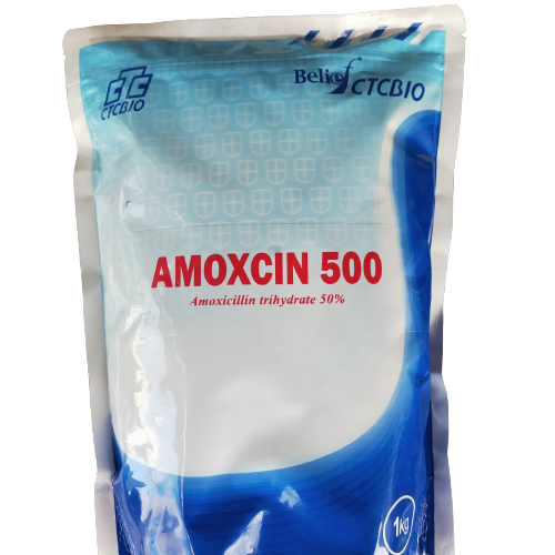 AMOXCIN 500 hàm lượng cao PHÒNG NHIỄM KHUẨN TRÊN GIA SÚC