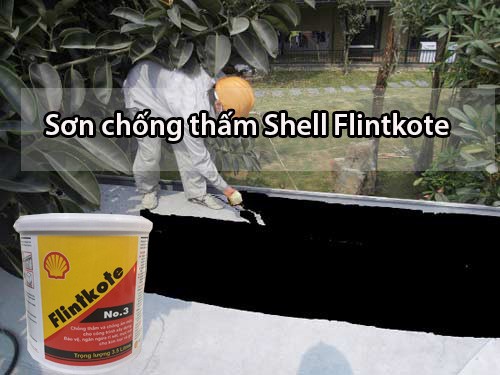 Chống thấm Shell Flintkote No3. Sơn chống thấm hồ cá koi, chống thấm hồ nước,sàn, mái, vách tường.