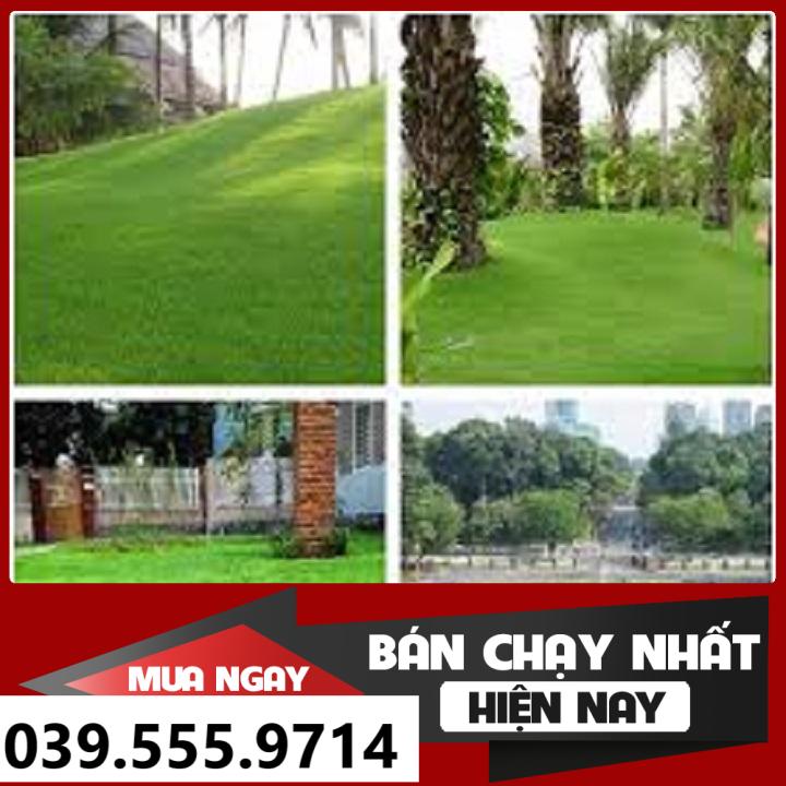 Hạt Giống Cỏ Thảm Sân Vườn BERMUDA 100G