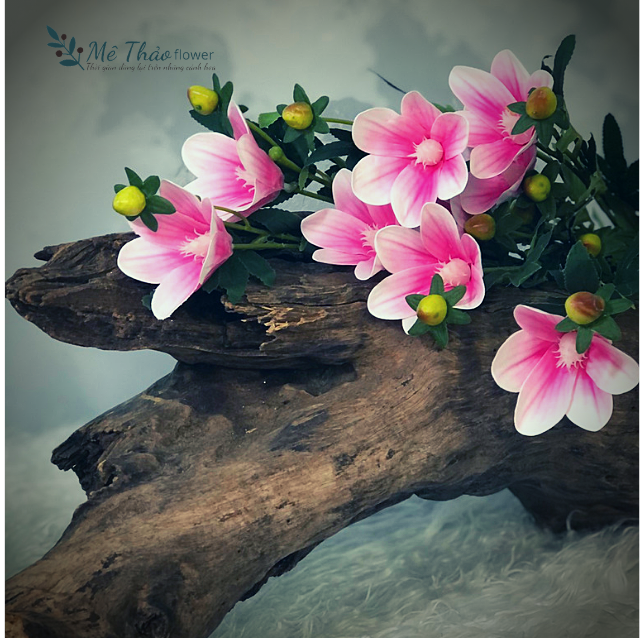 (Ảnh Shop Chụp) Cành Hoa Mộc Lan Nhỏ, Giả Hoa Lụa Cao Cấp Trang Trí Nhà Cửa Cắm Bình Và Lọ Hoa Decor Sang Trọng