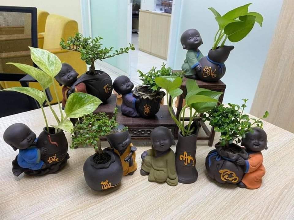 Set 3 chậu cây phong thủy hình cú tiểu an nhiên vui vẻ mang lại tài lộc , phúc khí cho gia chủ , KHÔNG BAO GỒM CÂY