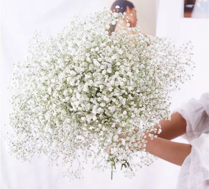 Hoa khô, bó hoa Baby Bloom trắng tinh khôi làm quà tặng, decor nhà