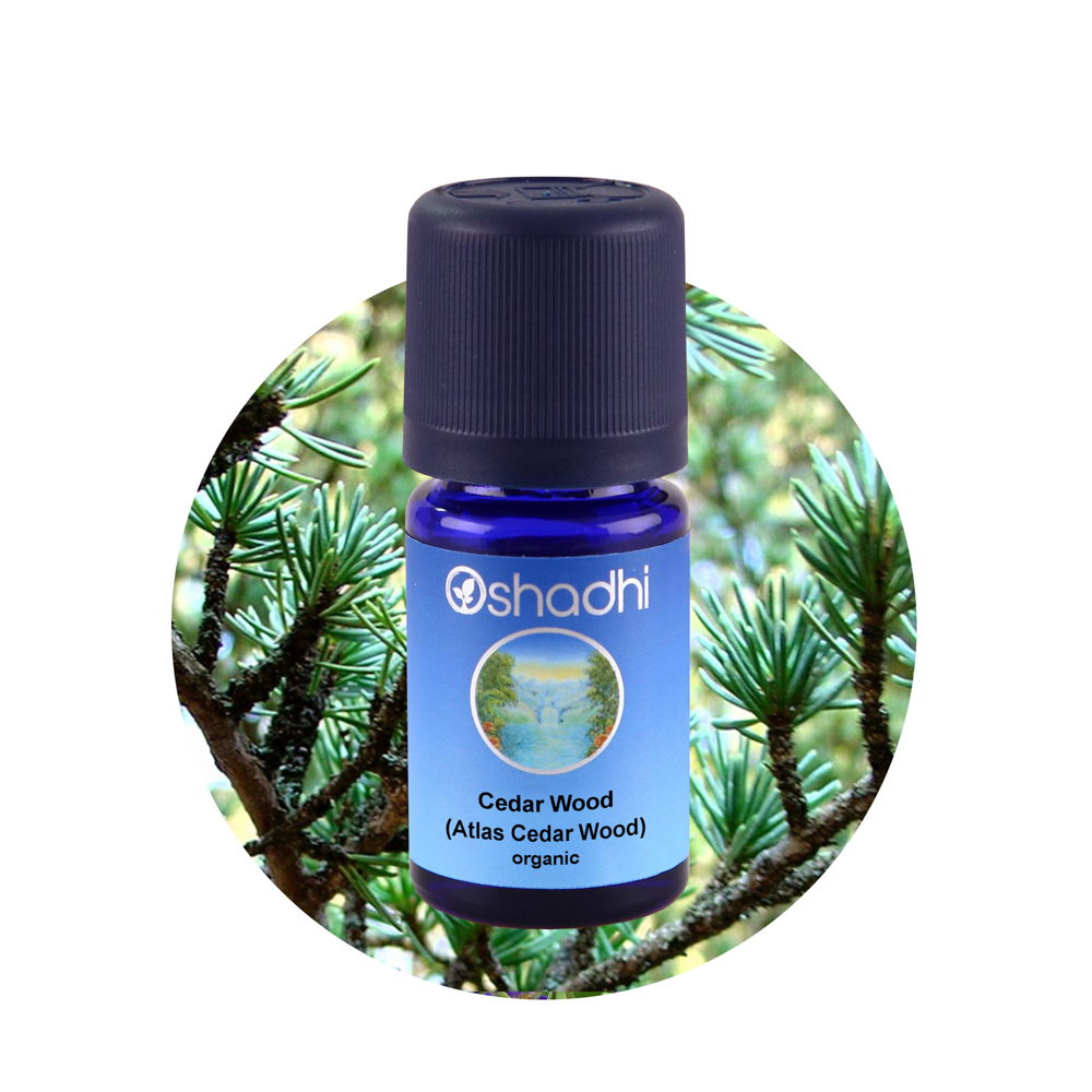 Tinh dầu xông phòng gỗ Tuyết Tùng hữu cơ - Oshadhi Cedar Wood organic, hàng mới 100%